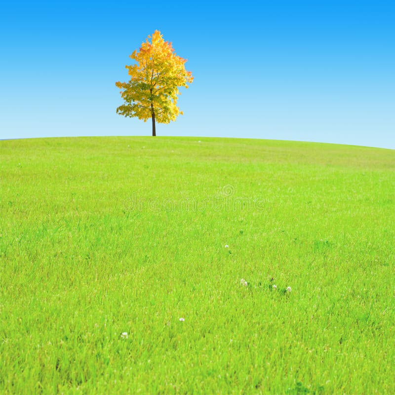 Gentle hill stock photo. Image of grass, field, outdoor 9497710
