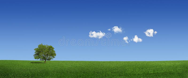 Lonely tree and world map clouds (XXXLarge)