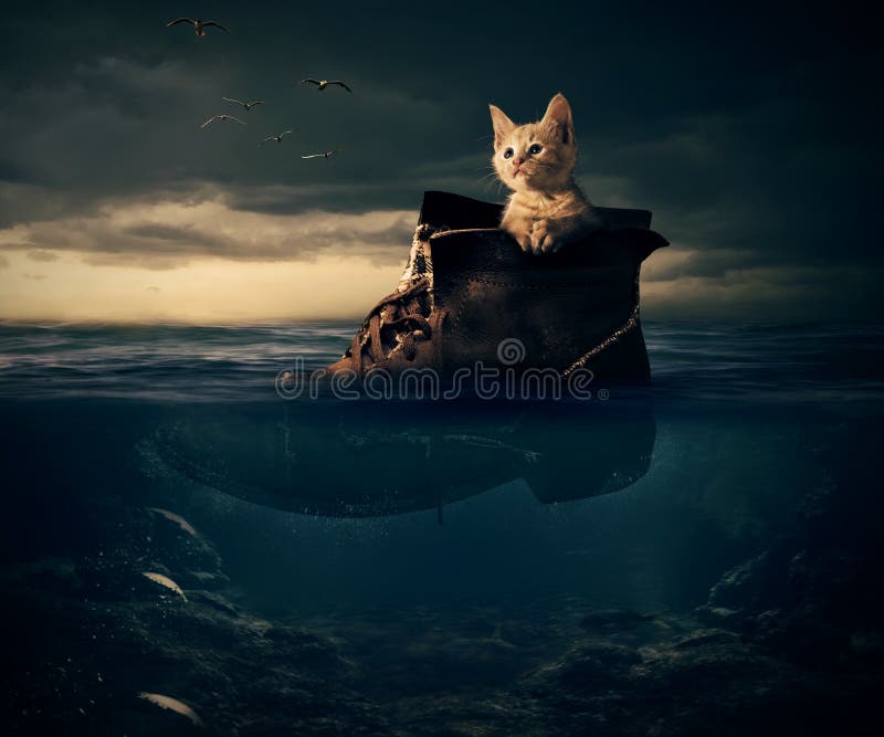 Lonely white kitten hiding in old boot sailing in it on the sea or ocean on sunset. Travel and Risking, Looking for new opportunities, loneliness concept. Dramatic scenery