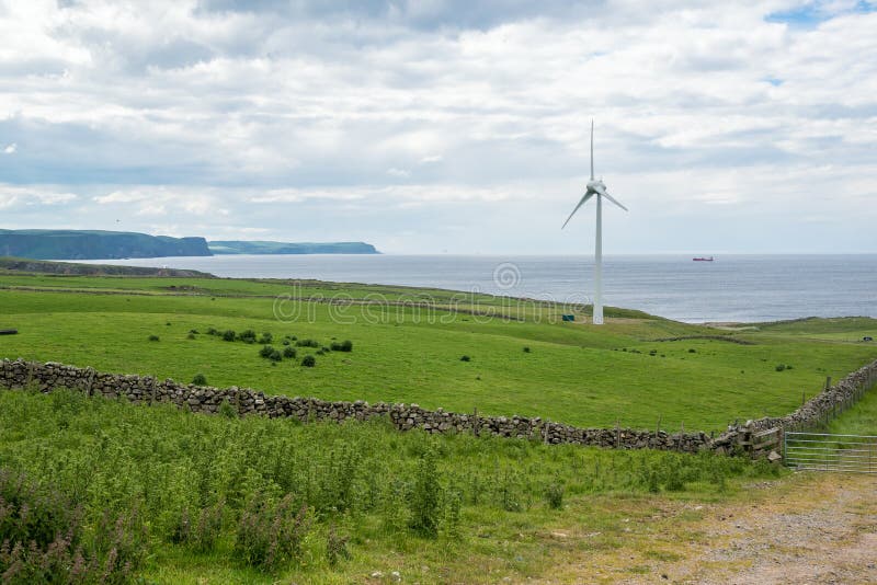 Wind turbine in a grassy field along the coast of Scotland