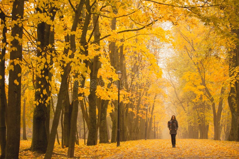 Lonely woman walking in park on a foggy autumn day. Lonely woman enjoying nature landscape in autumn. Autumn day. Girl sitting on grass Color vertical image.