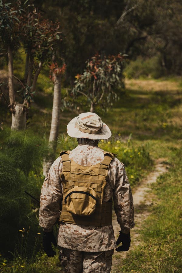 Lonesome Soldier Trying To Find The Way Home royalty free stock photos