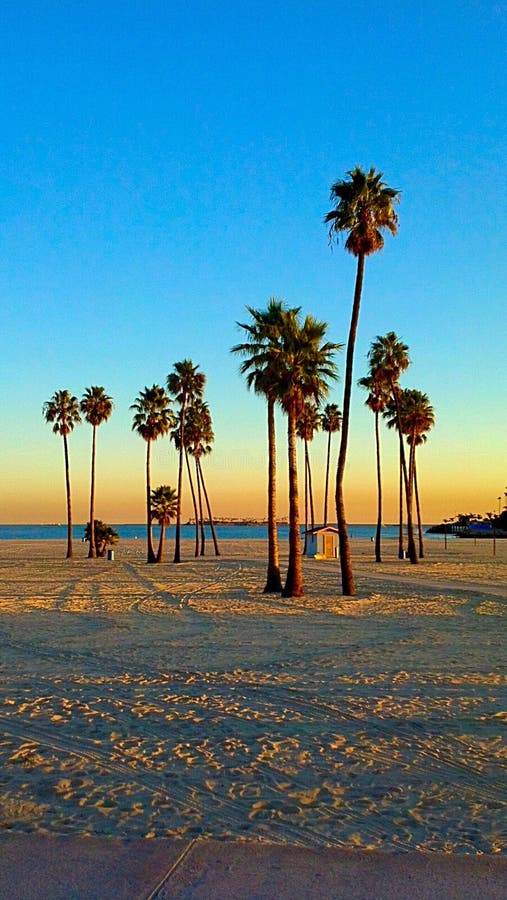 Long Beach CA Cali California sunset afternoon evening dusk twilight Palm tree sand sky beautiful gorgeous vacation travel west coast shore ocean