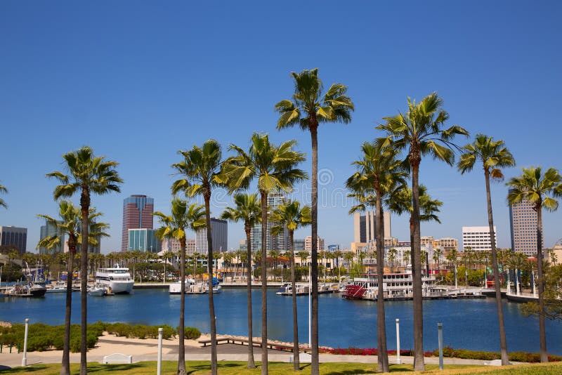 Long Beach California skyline with palm trees from marina port USA. Long Beach California skyline with palm trees from marina port USA