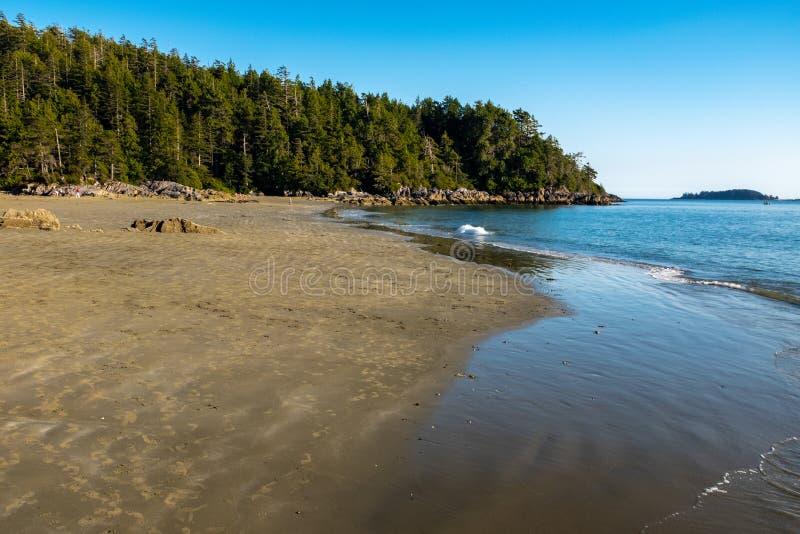 Long Beach Tofino, Vancouver Island, Canada, shot late afternoon with a bright blue sky, a few people in the far distance stock photography Long Beach Tofino, Vancouver Island, Canada, shot late afternoon with a bright blue sky, a few people in the far distance stock photography