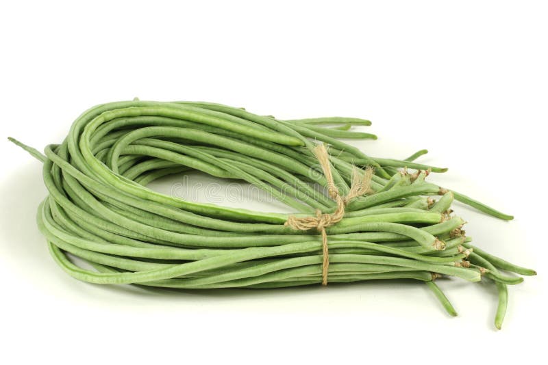 Long Beans stock photo. Image of food, asian, long, beans 16607196