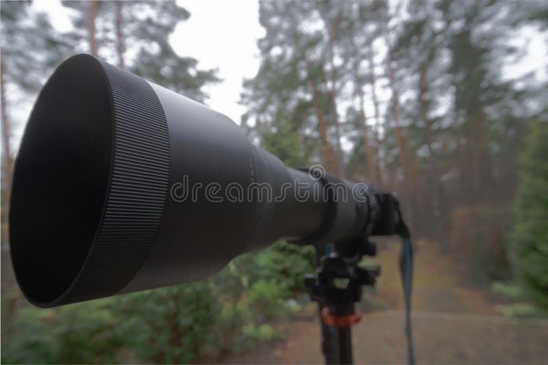 Long black zoom lens with focal length 150 mm to 600 mm on a mirrorless camera on a tripod stock images Long black zoom lens with focal length 150 mm to 600 mm on a mirrorless camera on a tripod stock images