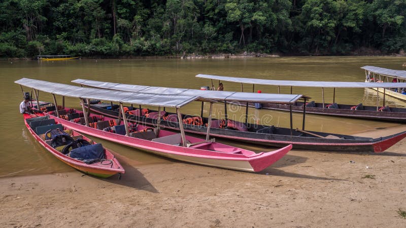 Long boats in rainforest in Taman Negara, Malaysia royalty free stock photo Long boats in rainforest in Taman Negara, Malaysia royalty free stock photo