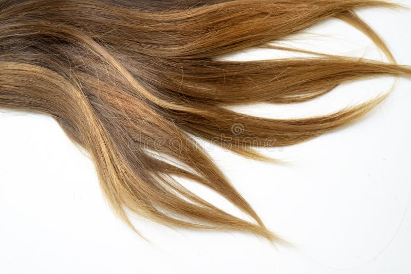 Long Brown Straight Hair on White Isolated Background Stock Photo - Image  of detail, abstract: 135938808