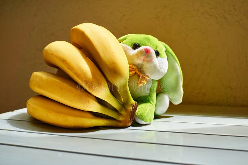 Bananas and a Toy Dog on a Warm Day Stock Photo - Image of plenty