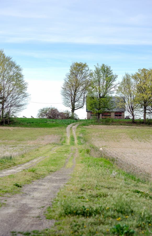 Beautiful Rural Landscape In Michigan Stock Image - Image of animal, grazing: 97641841