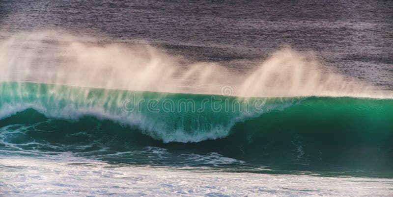 282 Mavericks Surf Contest Stock Photos, High-Res Pictures, and