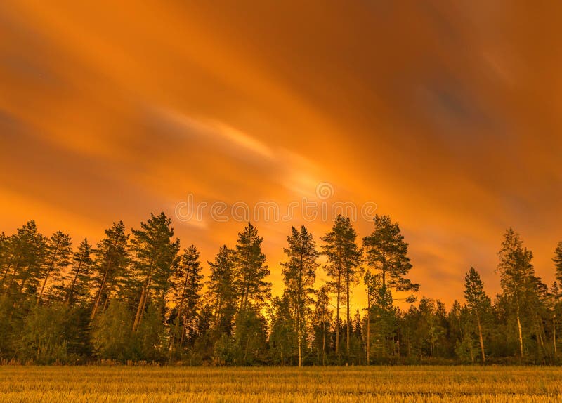 Long exposure night photo of forest and dark heavy clouds at swedish country side