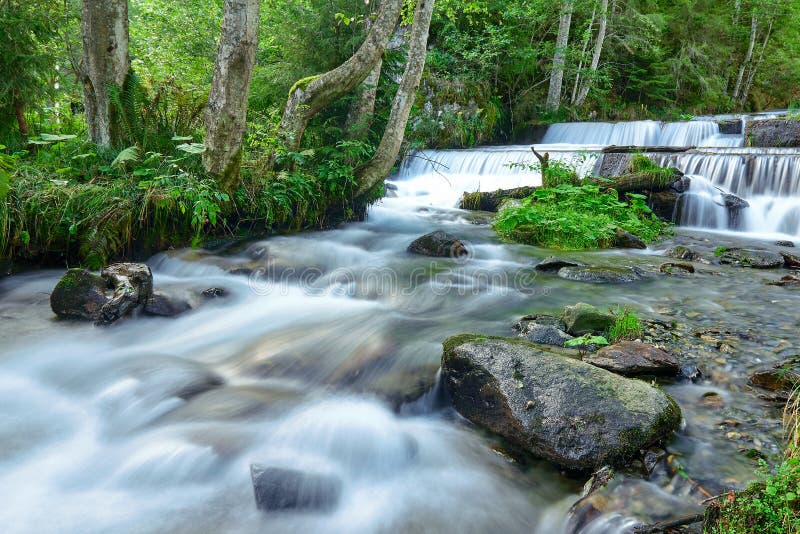 Long exposure on river flowing through rocks and summer green forest