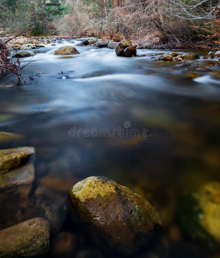 Scene with Long Exposure River in the Forest in the Morning Stock Photo