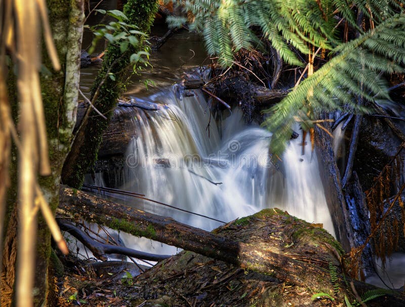 Long Exposure Shot of the Flowing River Water in the Green Forest Stock