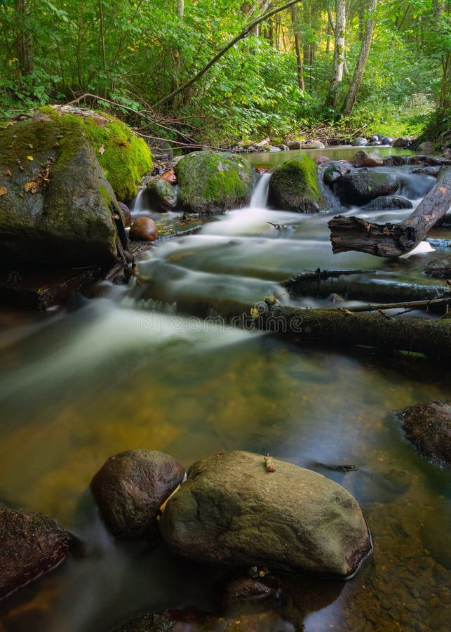 Creek Mossy Stock Image Image Of Fall Ecoregion Water 84418653