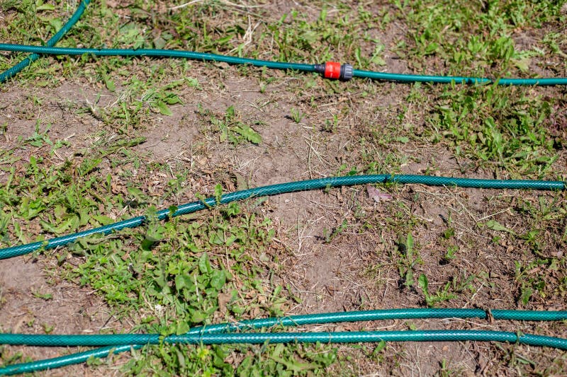 A Long Garden Hose for Watering with a Quickrelease Coupling Lies on