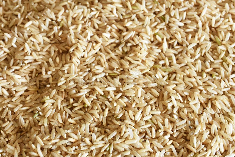 Long Grain White Rice Texture Stock Photo Image of abstract, long