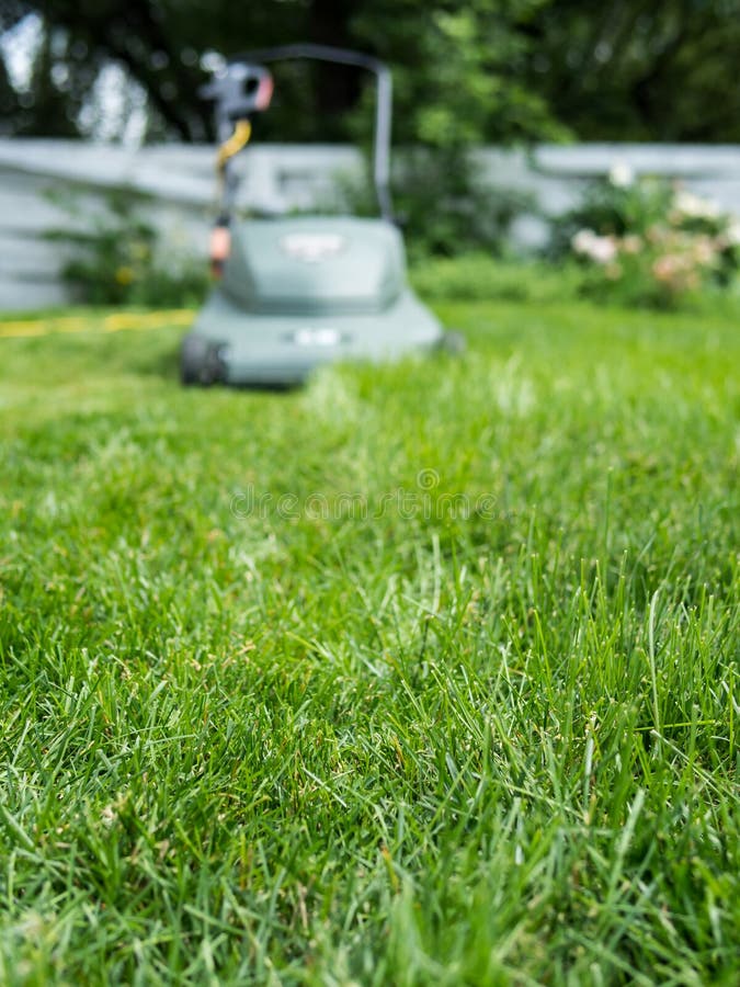 Long grass getting mowed royalty free stock photography