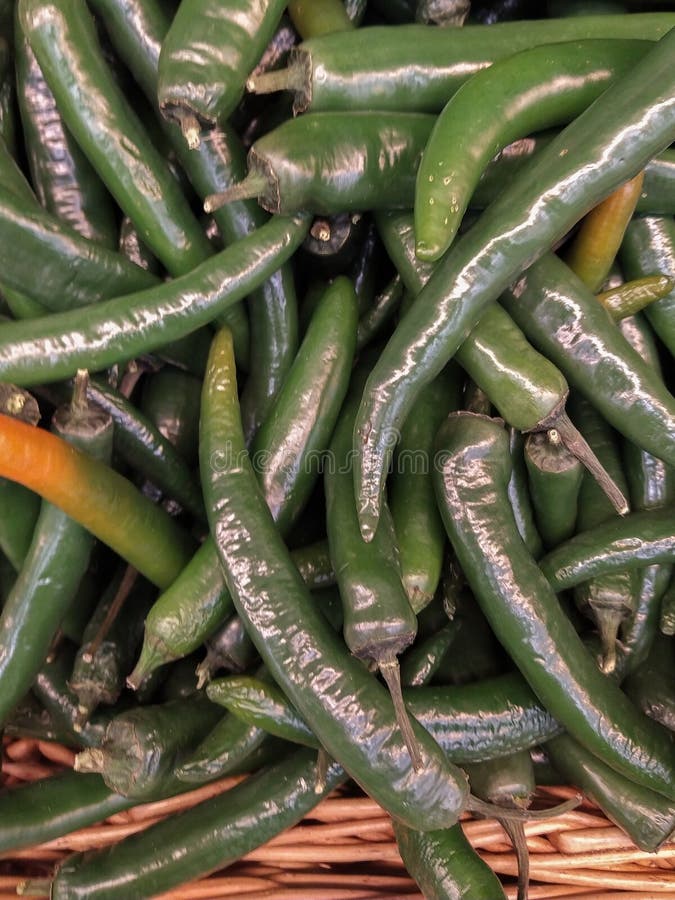 Long Green Hot Peppers on Stand Stock Image Image of retail, market