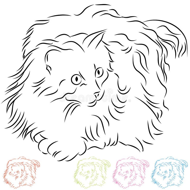 Long Haired Ragdoll Cat Stock Vector Illustration Of Black 23855775