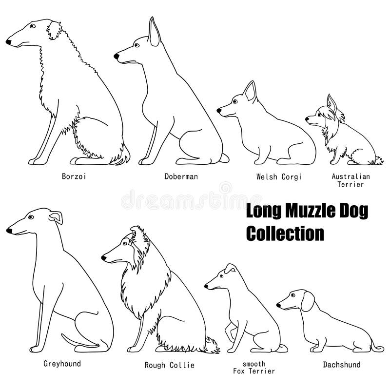 long muzzle dog