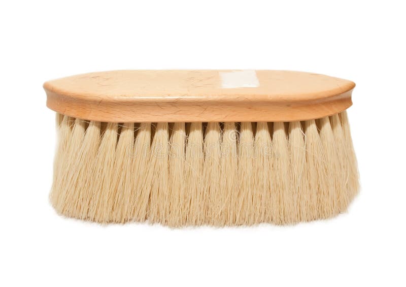 Long Natural Bristles Brush for Horse Isolat Stock Image Image of