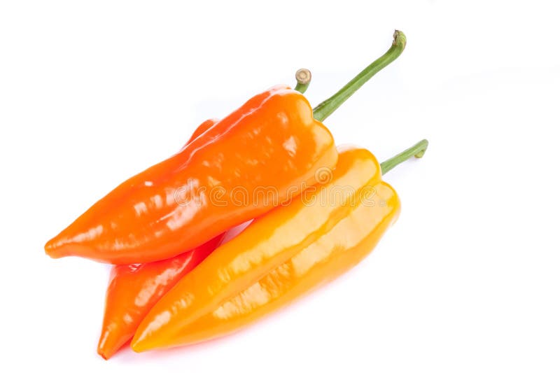 Long pepper stock photo. Image of pepper, yellow, studio 48633116