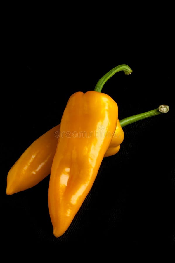 Long pepper stock photo. Image of vegetable, yellow, green 48633668