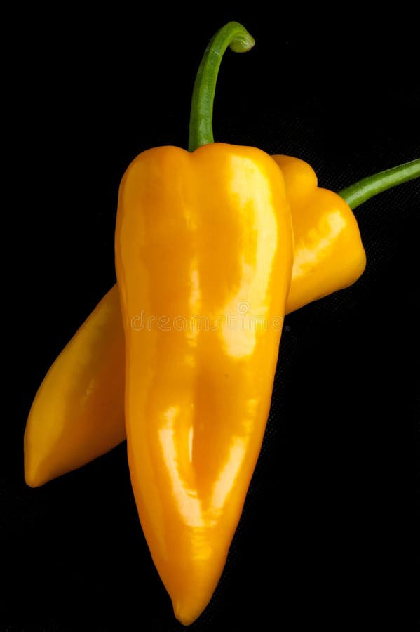 Long pepper stock image. Image of yellow, vitamins, long 48633903