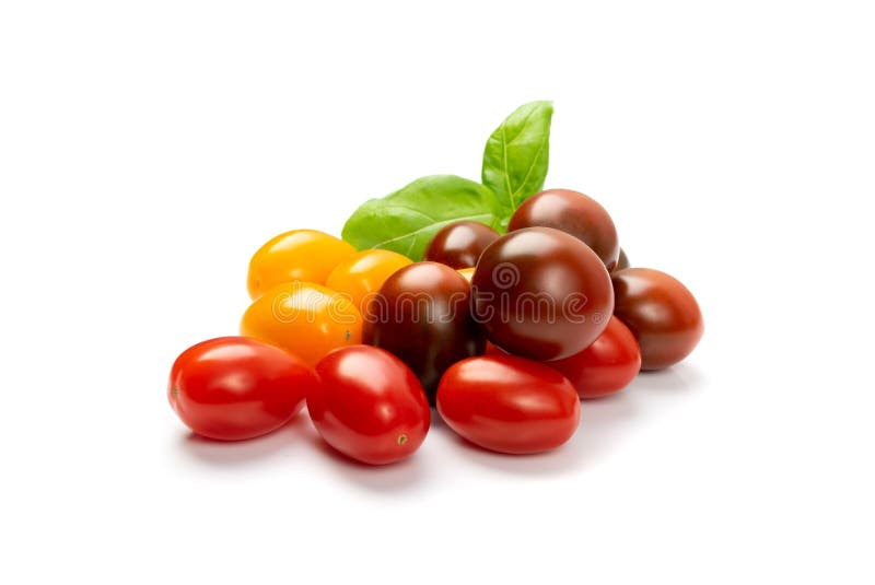 Long Plum Tomato Group Isolated, Fresh Small Cherry Tomatoes