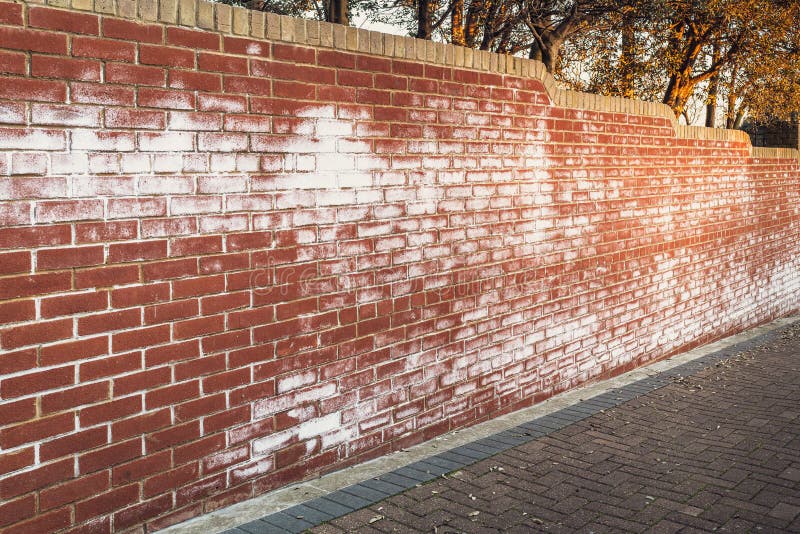 A long red brick wall stained with white efflorescence, a crystalline of salt, formed due to water being present