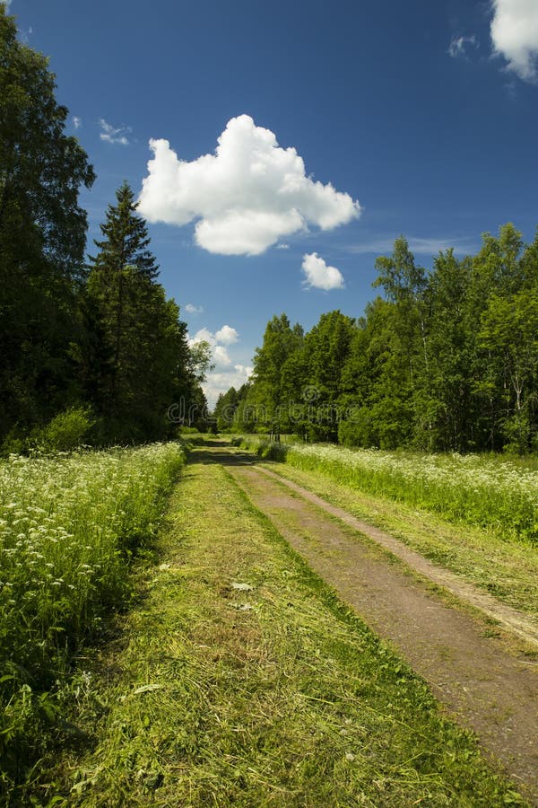 Long road to meet with clouds, romantic summer way