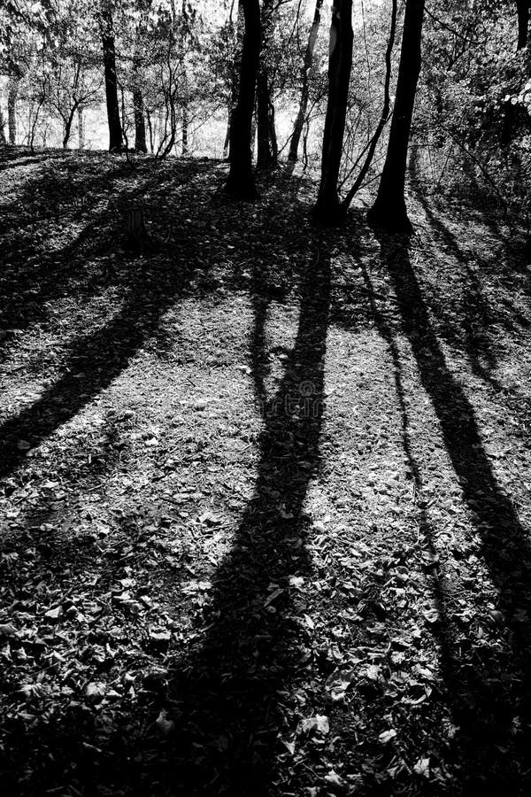 Long shadows stock image Long shadows stock image