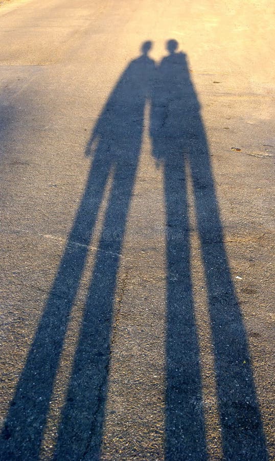 Long shadows stock photo. Image of natural, forest, background 6321338