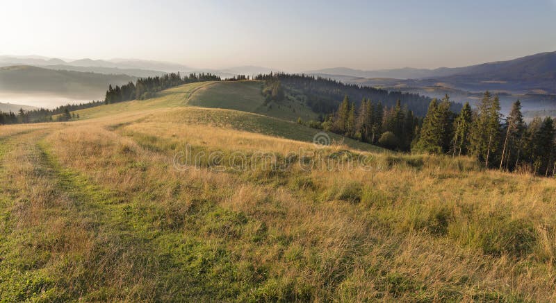 Beautiful scenery of the Carpathian Mountains in the early morning at sunrise and the road passing through the mountain hill