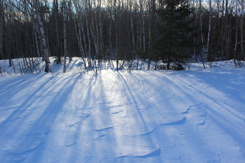 Long shadows from the late afternoon sun cast on the spotless snow in wintertime. royalty free stock images