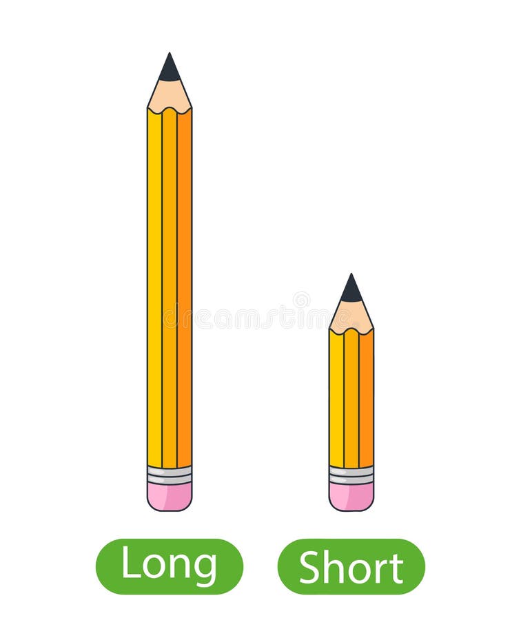 Ung Montgomery Antarktis Long Short Pencils Stock Illustrations – 73 Long Short Pencils Stock  Illustrations, Vectors & Clipart - Dreamstime