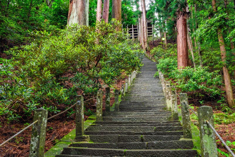 Long staircase going upwards in forest, Japan