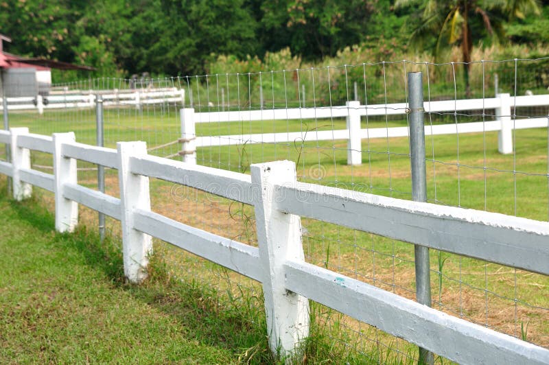 Long White Fences Around Farm Field. Stock Image Image of equestrian