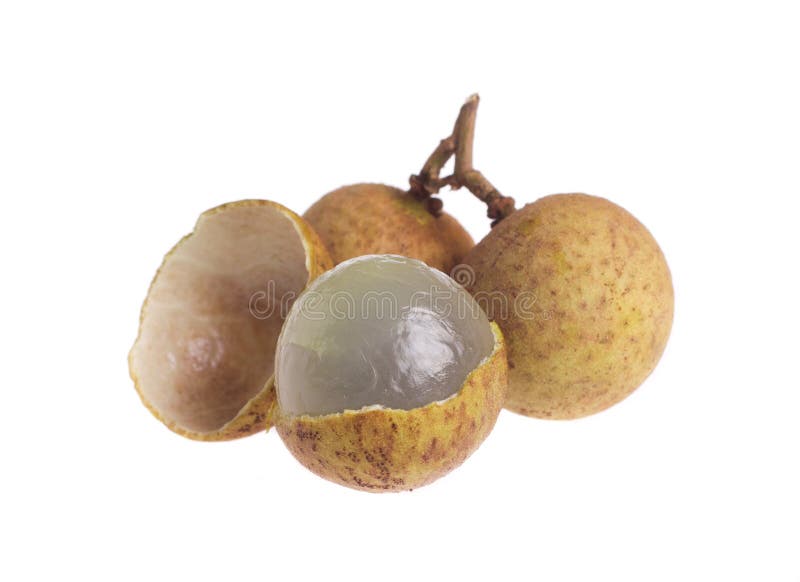 Longan stock photo