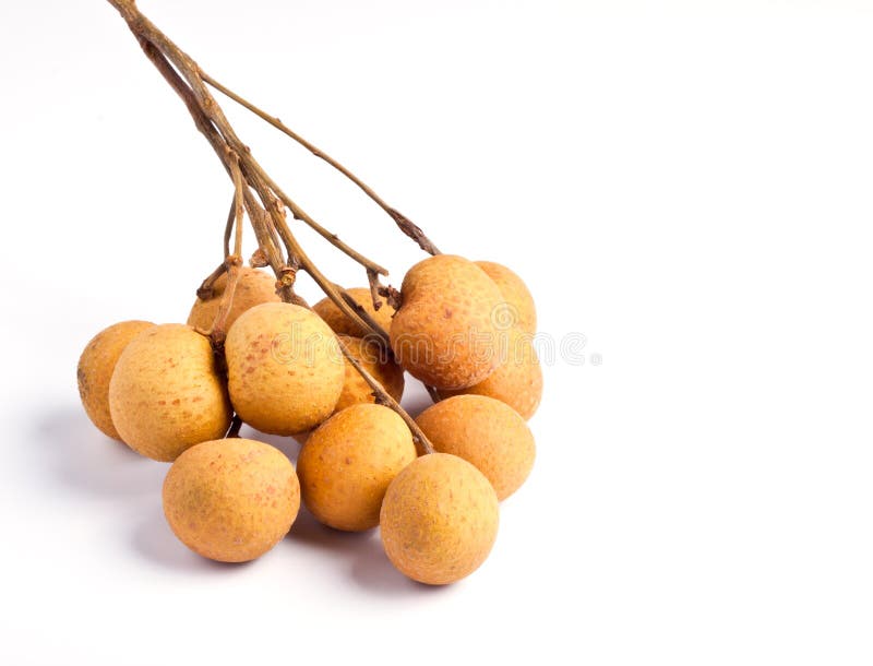 Longan