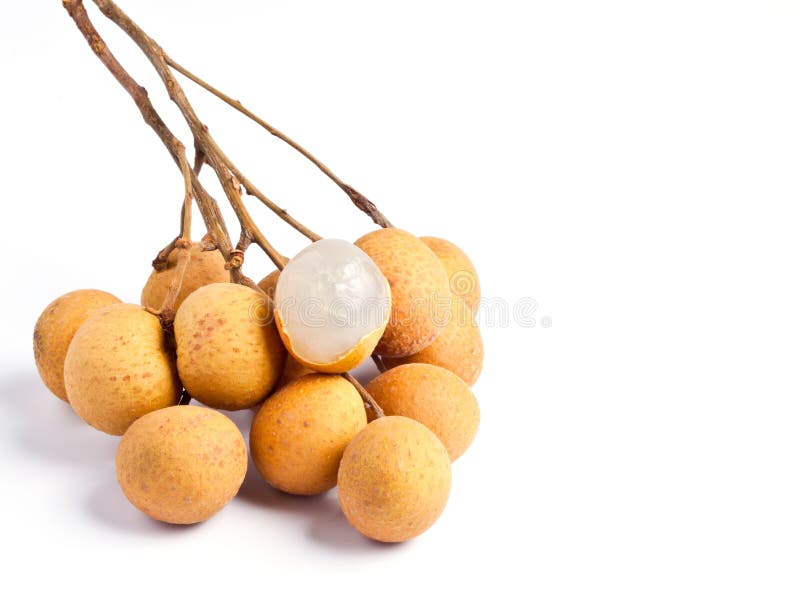 Longan