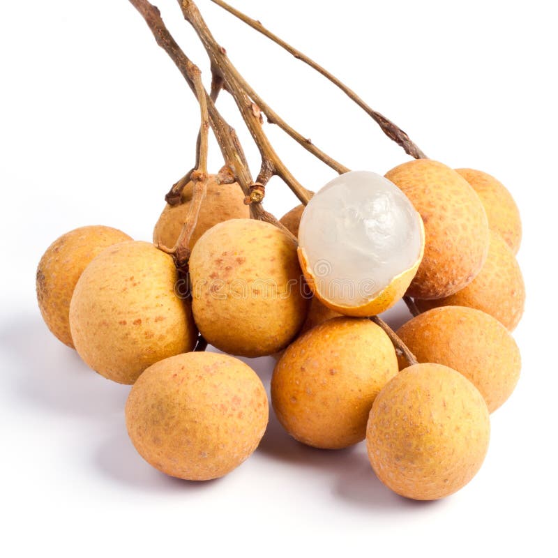 Longan stock images