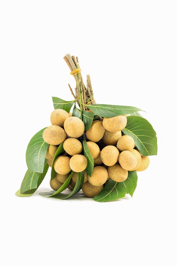  Longan photographie stock libre de droits