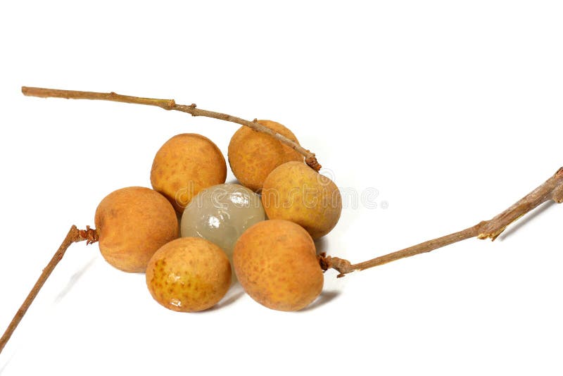 Longan fresco foto de stock royalty free