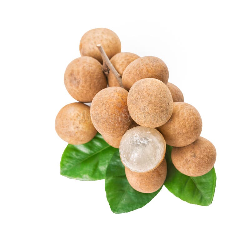 Longan fresco isolado sobre fundo branco imagens de stock