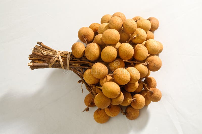 Longan fruit