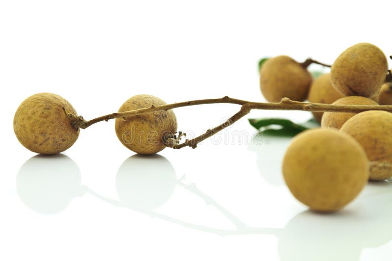 Longan fruit stock photography